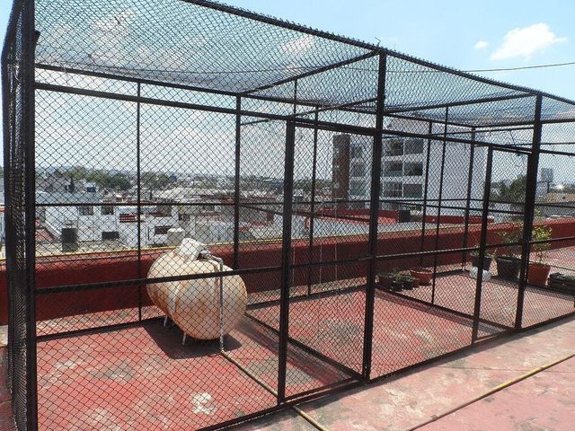 place photo 32