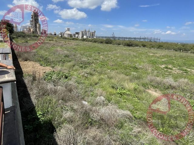place photo 71