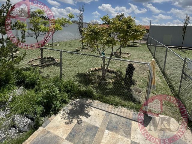 place photo 88