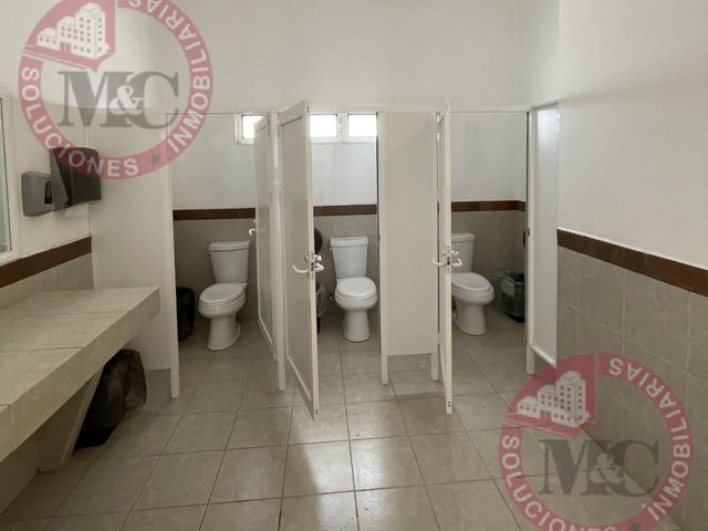 place photo 39