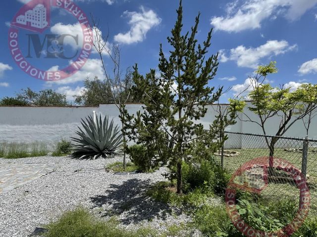 place photo 80