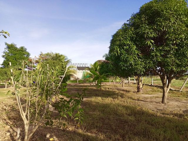 place photo 26