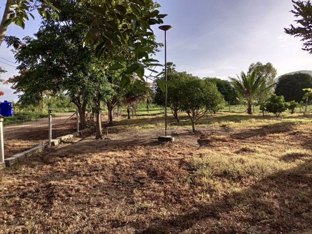 place photo 28