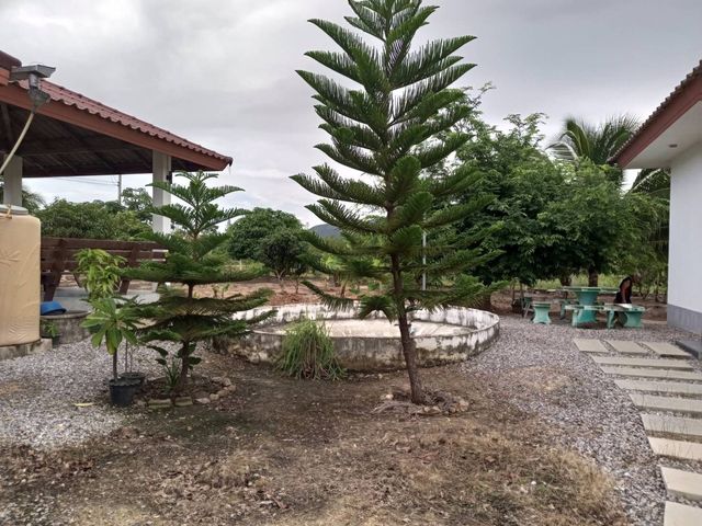 place photo 29
