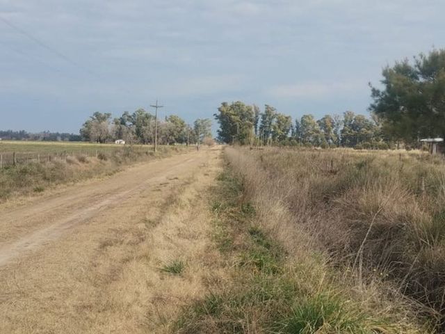 place photo 11