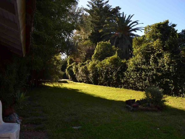 place photo 57