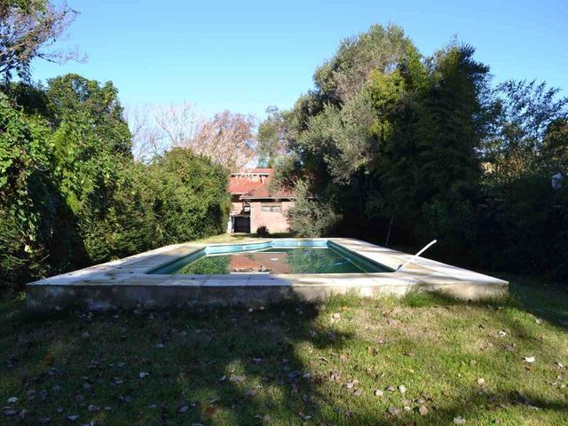place photo 60