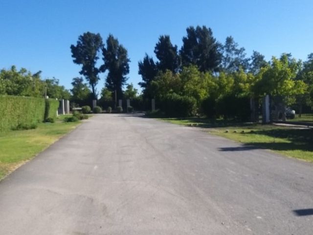place photo 13