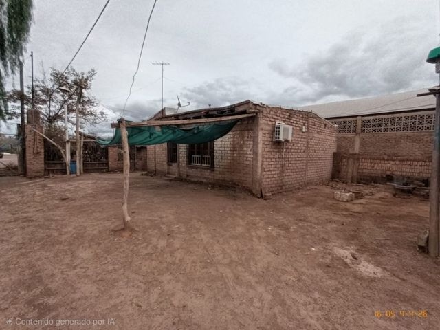 place photo 26