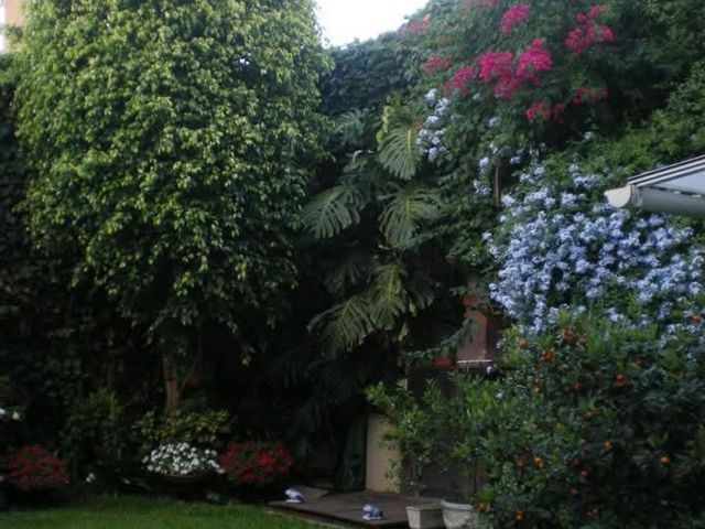 place photo 87