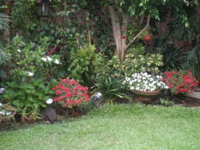 place photo 83