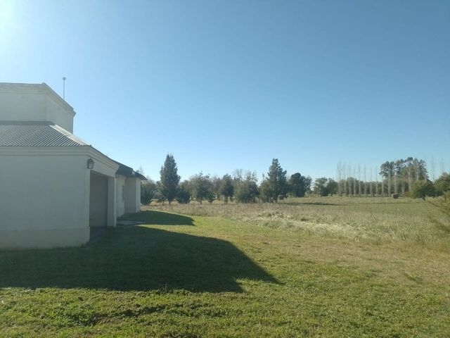 place photo 38