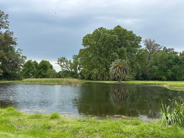 place photo 35