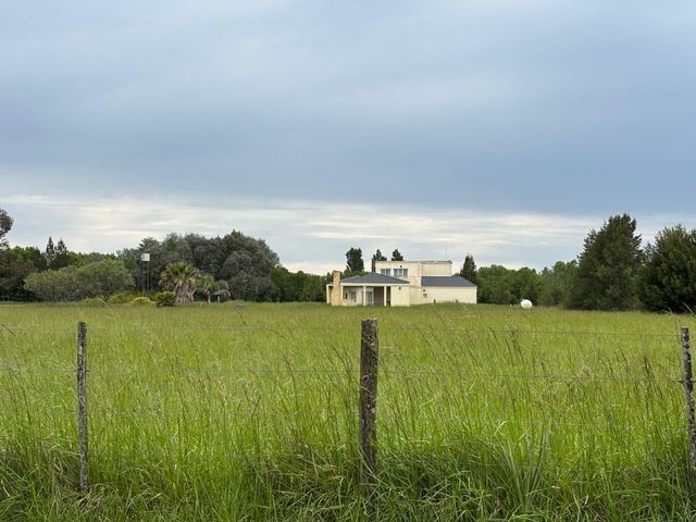 place photo 27