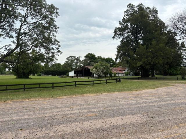 place photo 36
