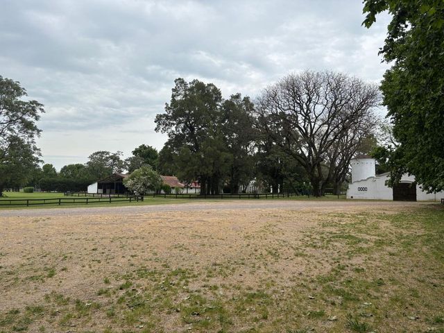 place photo 37