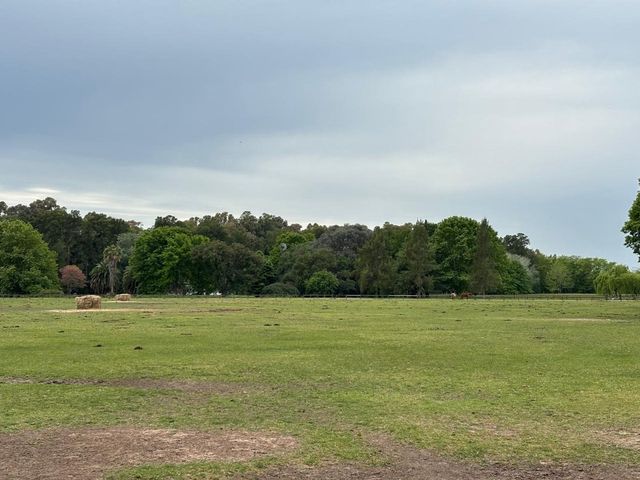 place photo 34