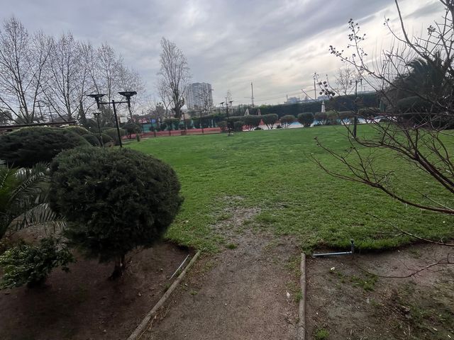 place photo 12
