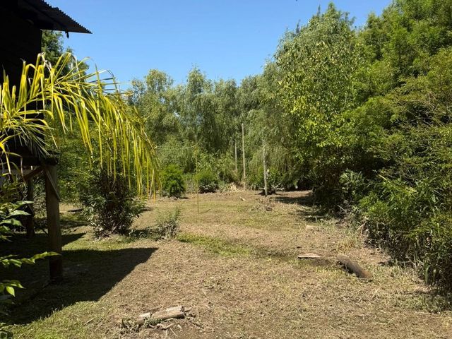 place photo 47