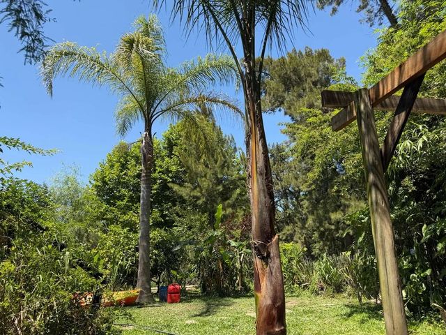 place photo 50