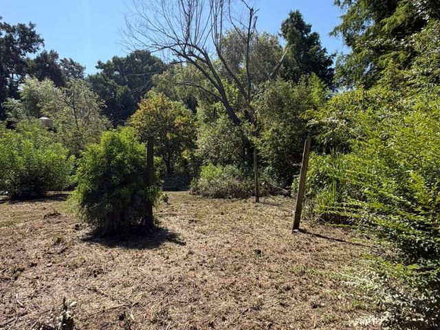 place photo 45