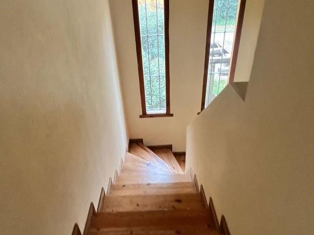 place photo 49