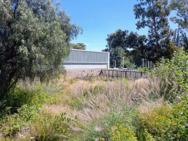 place photo 9