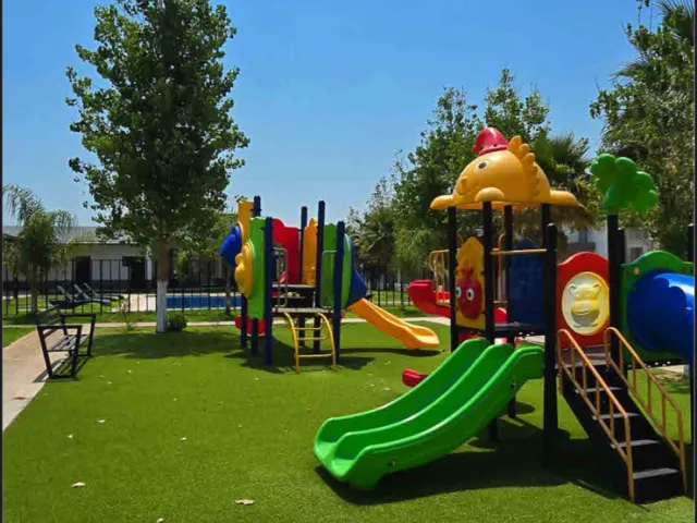 place photo 26