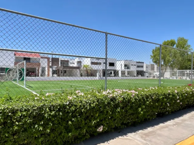 place photo 23
