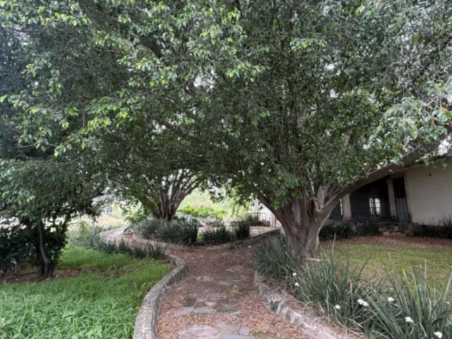 place photo 22