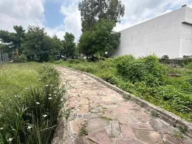 place photo 7
