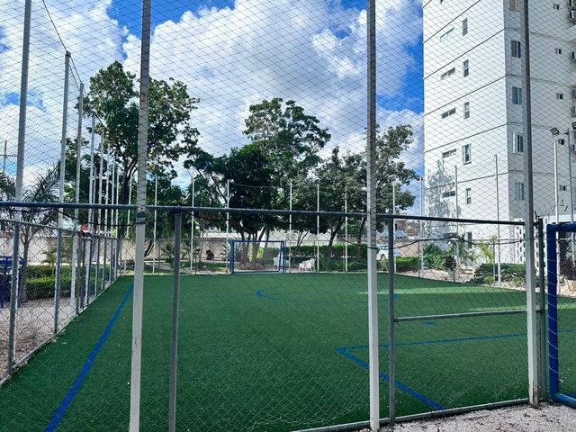 place photo 31