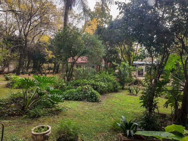 place photo 38