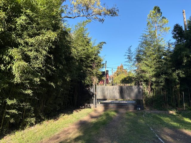 place photo 38