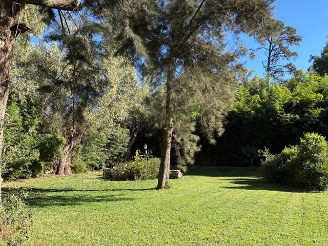 place photo 46
