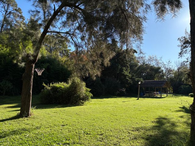 place photo 49