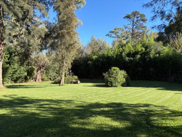 place photo 45