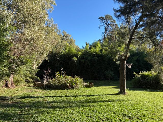 place photo 48