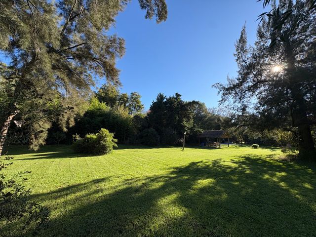 place photo 47