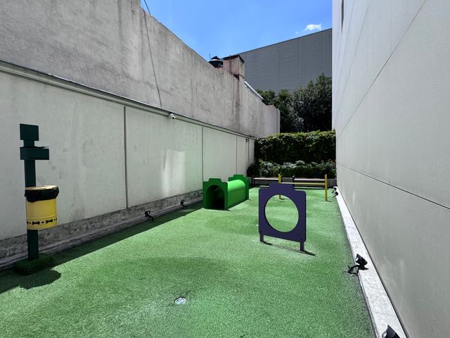 place photo 37