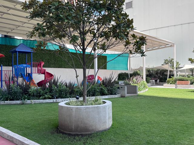 place photo 34