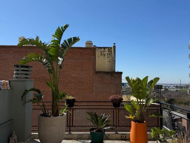 place photo 48