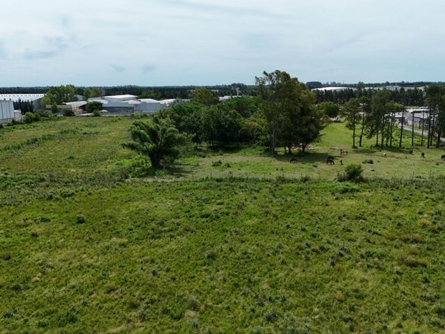 place photo 42