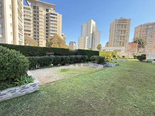 place photo 46