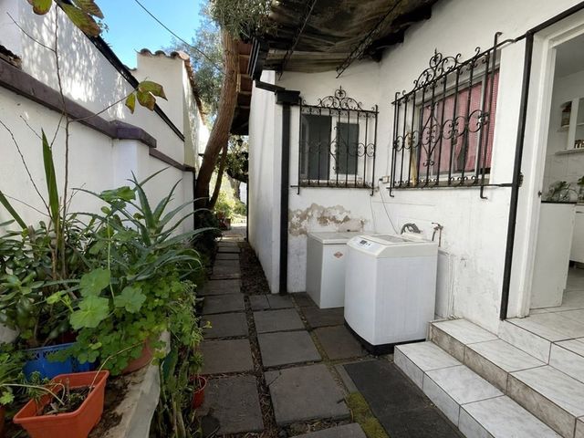 place photo 26