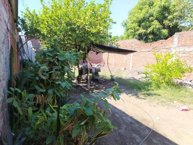 place photo 23