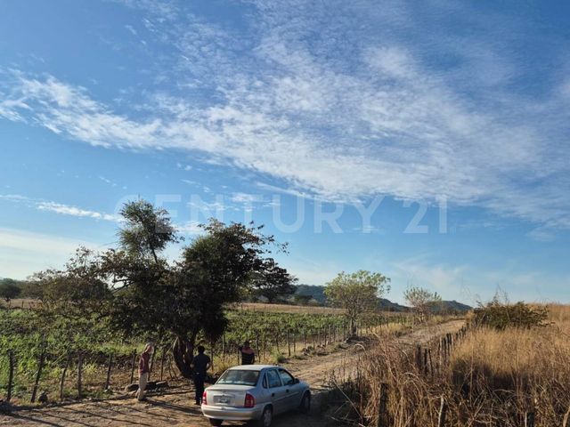 place photo 10
