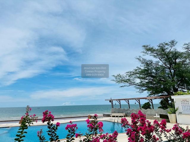 place photo 29