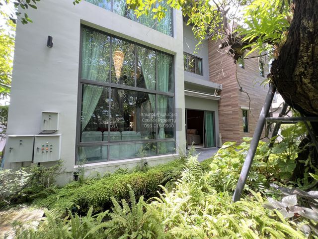 place photo 44