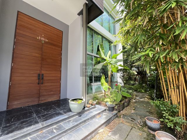 place photo 39